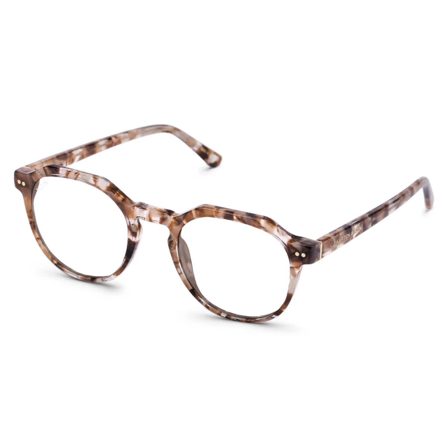 Manila Toffee Tortoise 3 Manila Toffee Tortoise