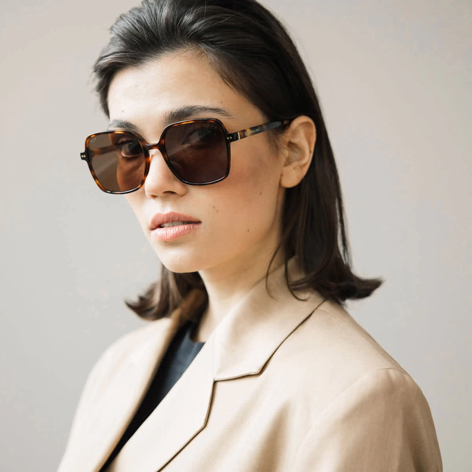 Toulouse Tortoise Brown 5 Toulouse Tortoise Brown - Image 3