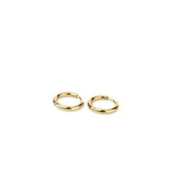 Basic Earring Filigree Hoop Gold