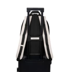 Aalborg Cream Black -Luxury Gear Shop 4236a7e20b66a0bbbaf01cb002ea0d57