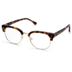 Glendale Matt Tortoise