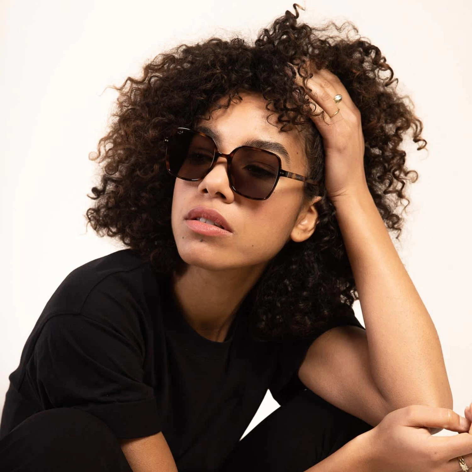 Toulouse Tortoise Brown 4 Toulouse Tortoise Brown - Image 2