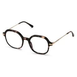 Tallinn Umber Tortoise