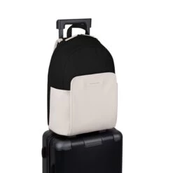 Aalborg Cream Black -Luxury Gear Shop 7b68cb5e76d8ffcc8a011c385448a446