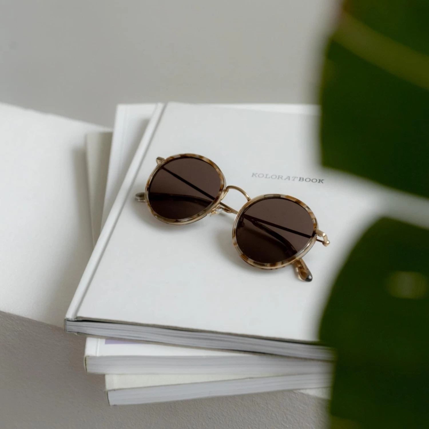 Amsterdam Toffee Tortoise Brown 13 Amsterdam Toffee Tortoise Brown - Image 11