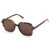 Toulouse Tortoise Brown -Luxury Gear Shop 877cb39d5fb137a8a036c1f7ba9c79f9