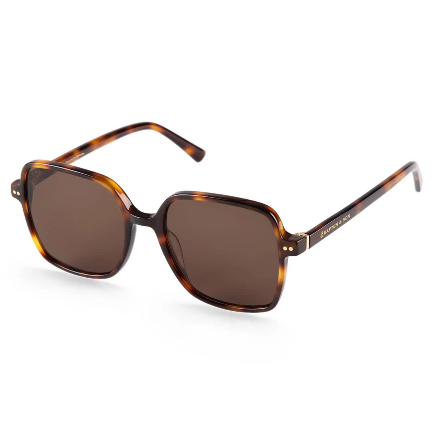Toulouse Tortoise Brown 3 Toulouse Tortoise Brown