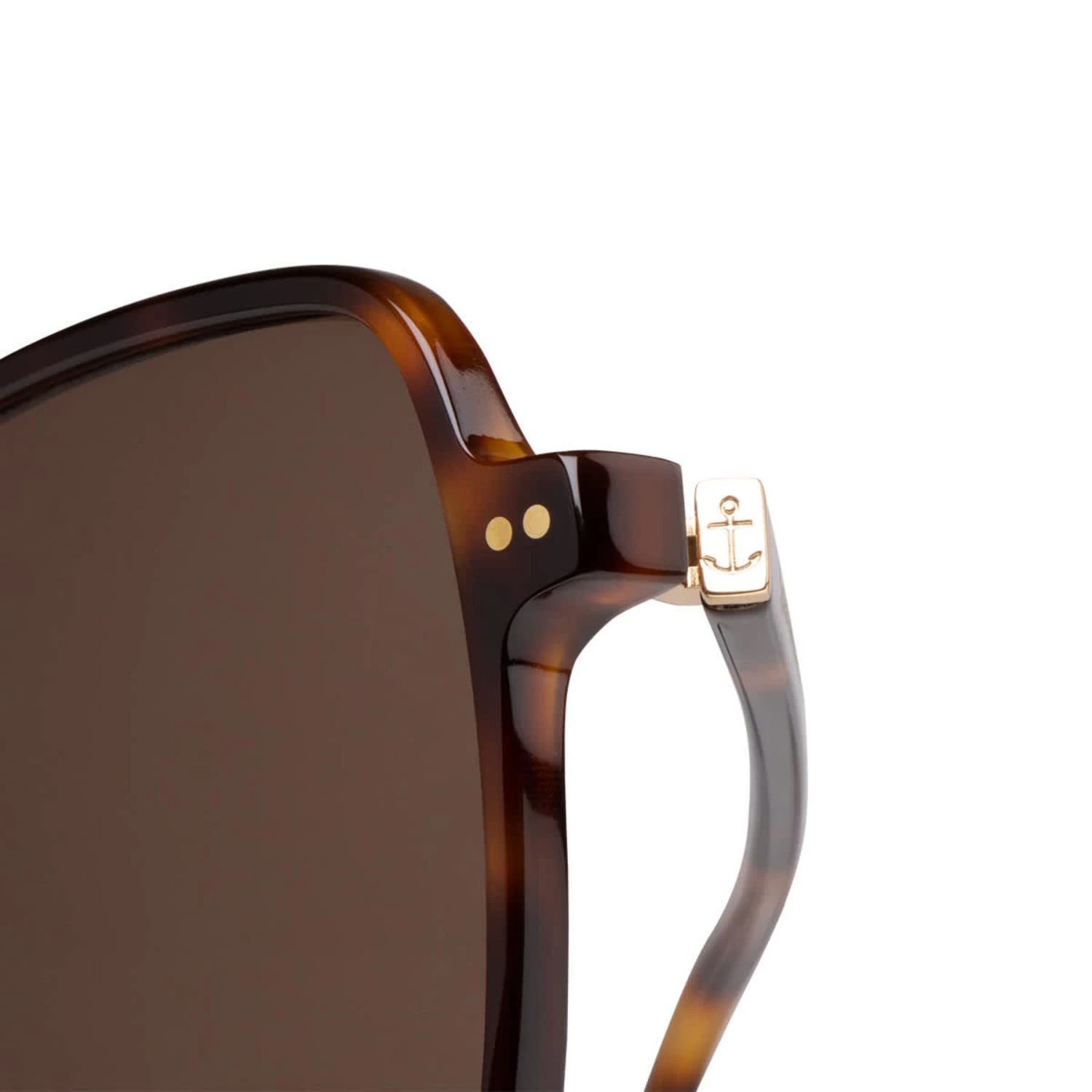 Toulouse Tortoise Brown 8 Toulouse Tortoise Brown - Image 6