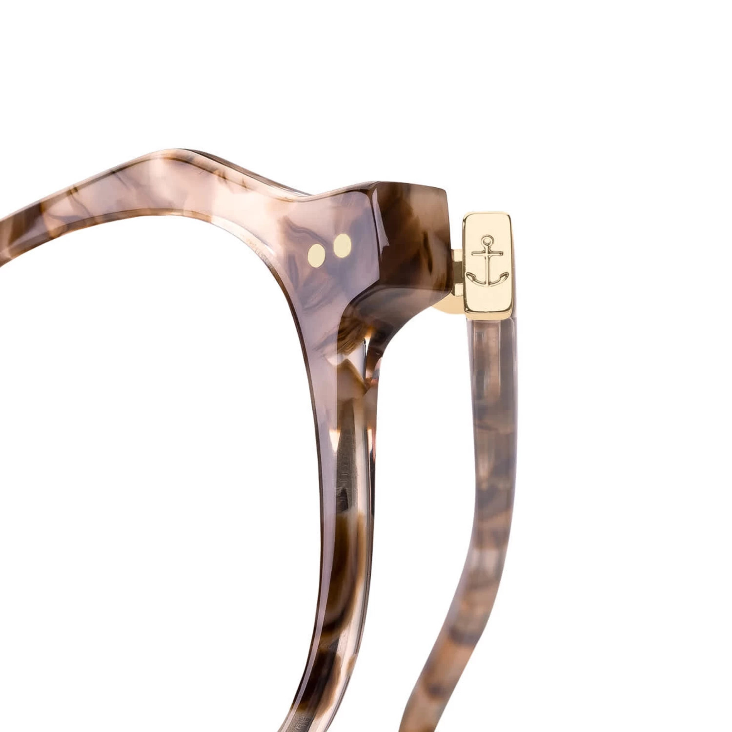 Manila Toffee Tortoise 8 Manila Toffee Tortoise - Image 6