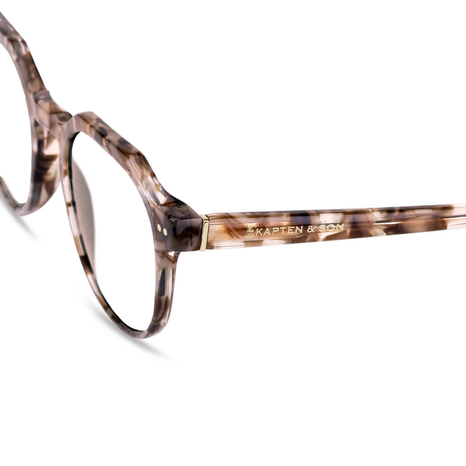 Manila Toffee Tortoise 7 Manila Toffee Tortoise - Image 5