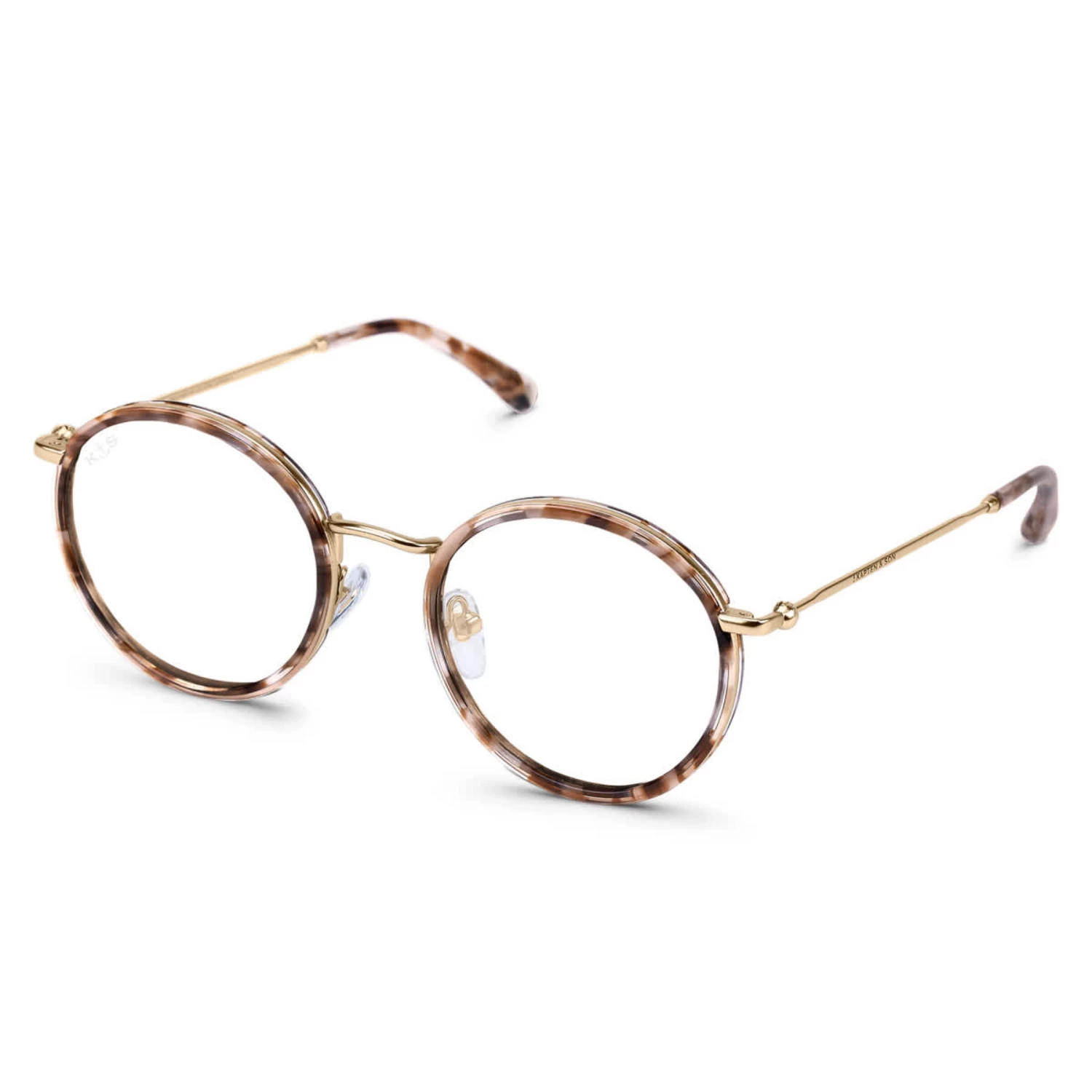 Amsterdam Toffee Tortoise 3 Amsterdam Toffee Tortoise