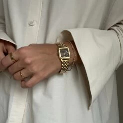 Tresor Gold Brown Steel -Luxury Gear Shop d2e11da369c811fa3a5eaae37f8b03ca