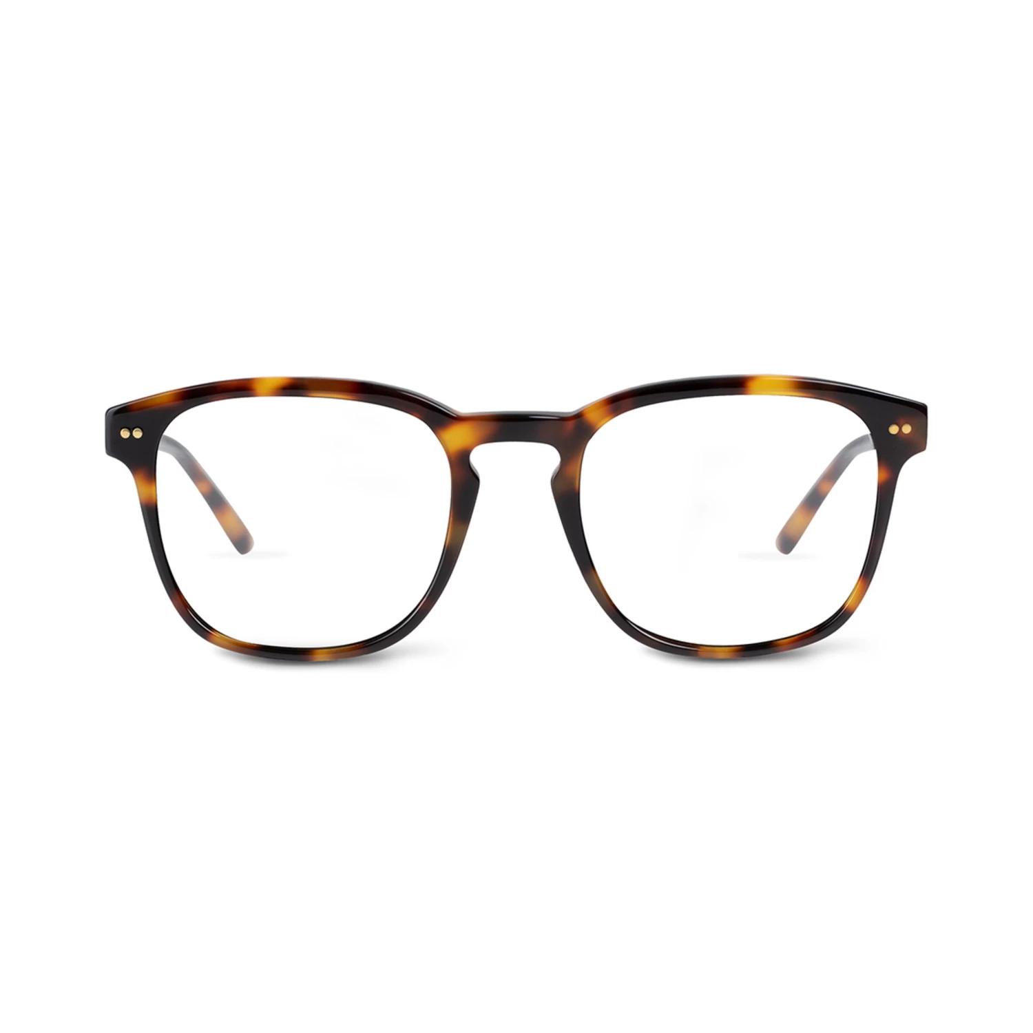 Pasadena Tortoise Mit Sehstärke 4 Pasadena Tortoise Mit Sehstärke - Image 2