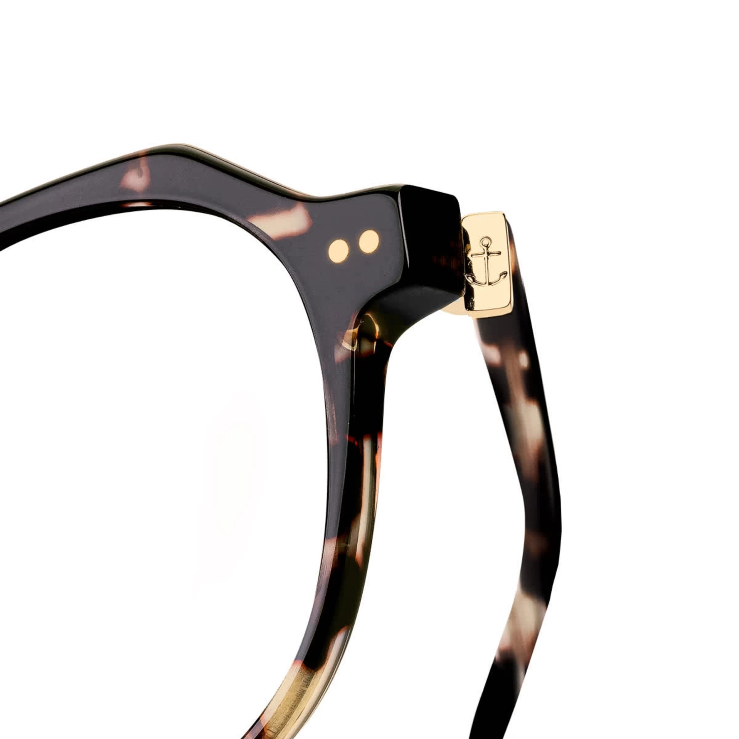 Manila Umber Tortoise 8 Manila Umber Tortoise - Image 6