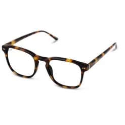 Pasadena Large Tortoise